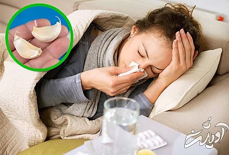 فواید سیر گیاهان دارویی برای لاغری،گیاهان دارویی و خواص آنها